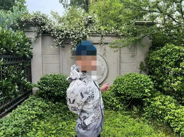 圖片